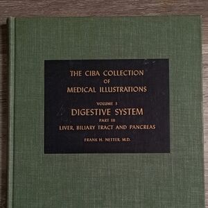 Green Medical Illustration Book - Digestive System